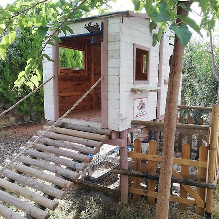 Azienda Agrituristica Le Betulle Riotorto Eksteriør billede