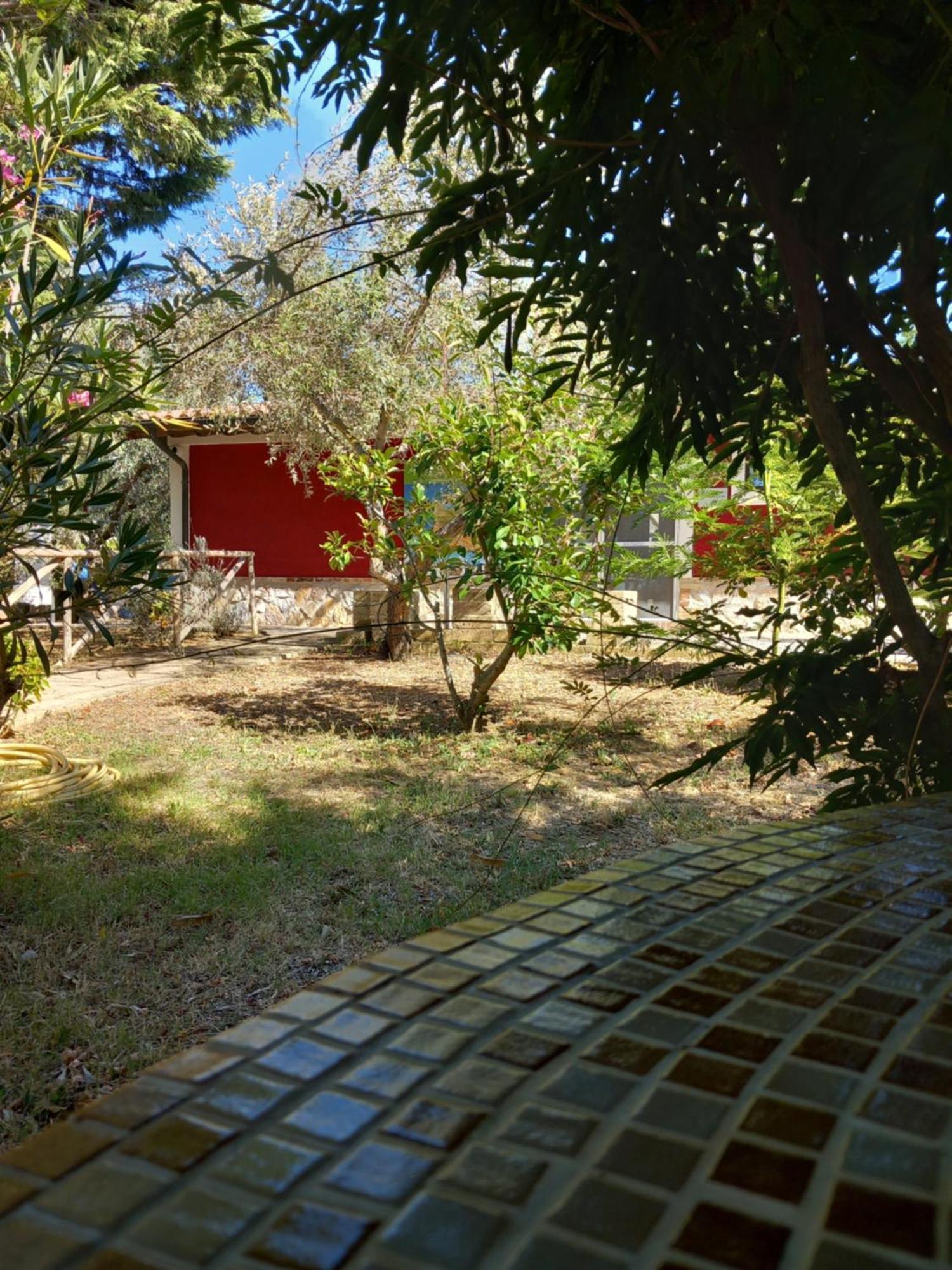 Azienda Agrituristica Le Betulle Riotorto Eksteriør billede