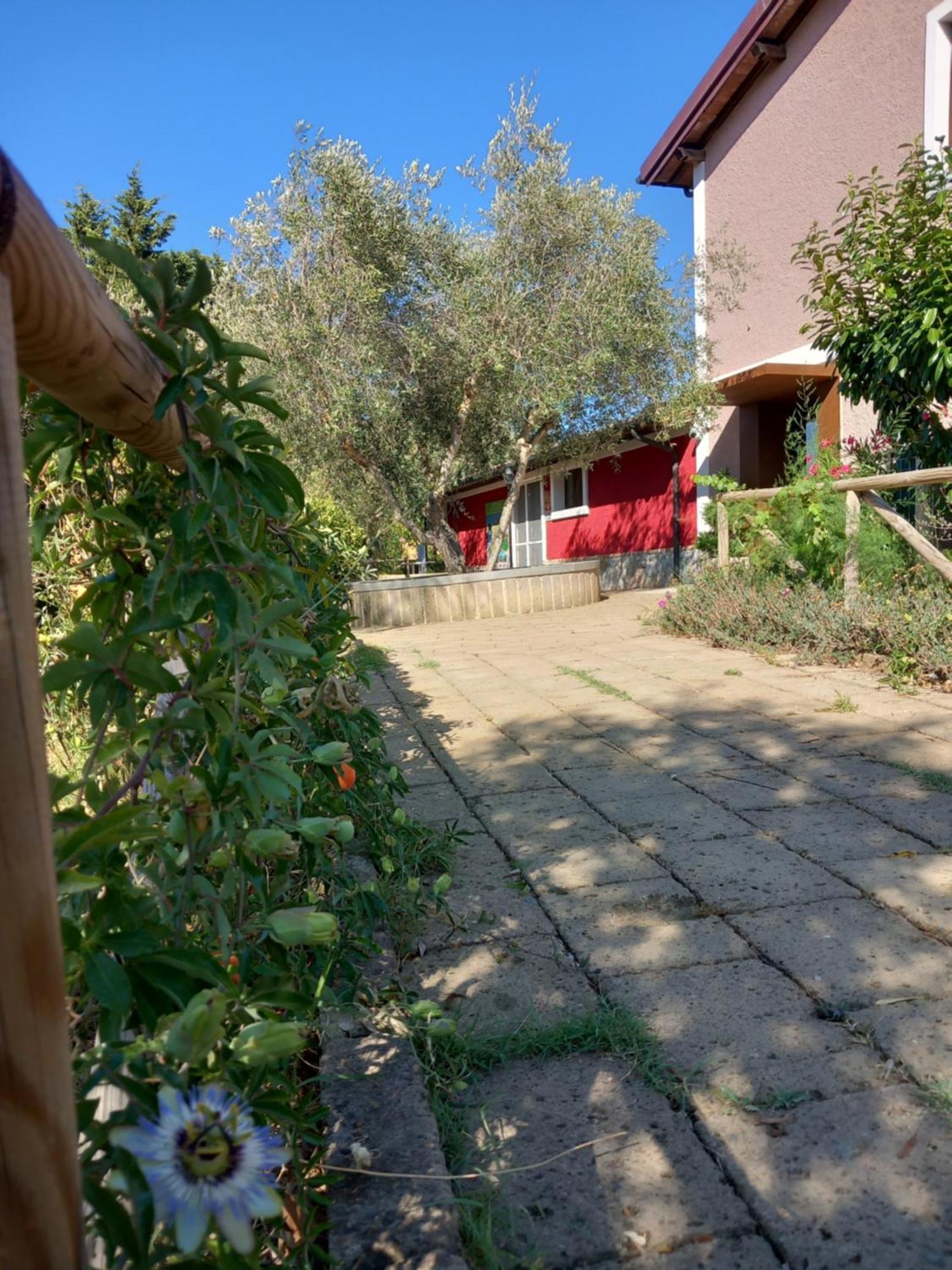 Azienda Agrituristica Le Betulle Riotorto Eksteriør billede