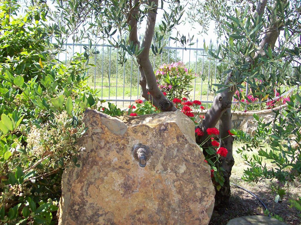 Azienda Agrituristica Le Betulle Riotorto Eksteriør billede