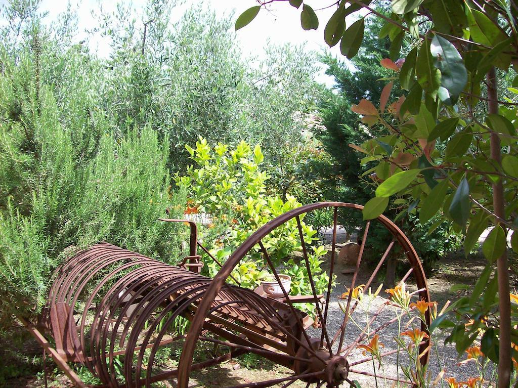Azienda Agrituristica Le Betulle Riotorto Eksteriør billede