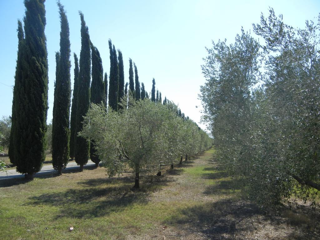 Azienda Agrituristica Le Betulle Riotorto Eksteriør billede