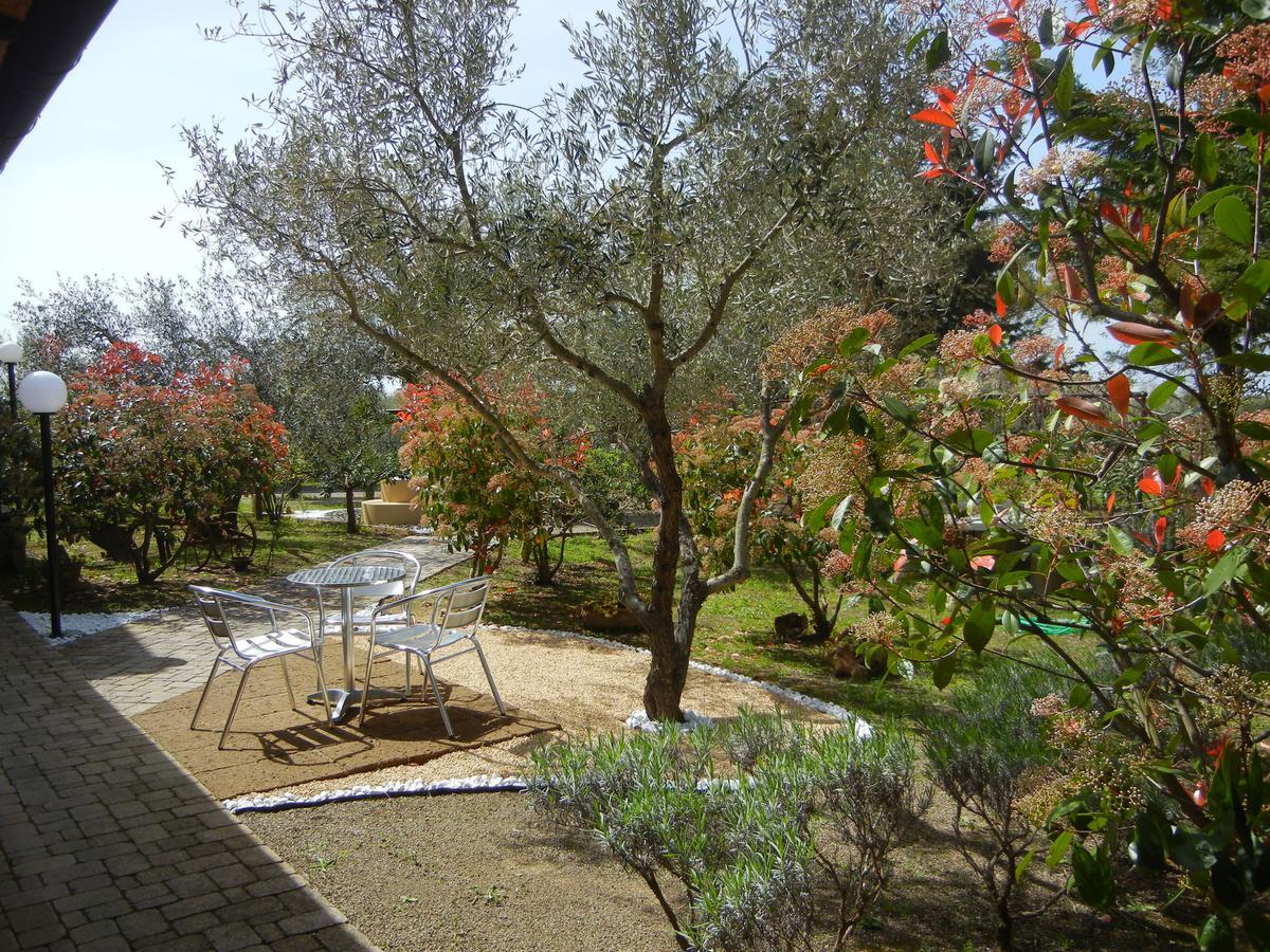 Azienda Agrituristica Le Betulle Riotorto Eksteriør billede